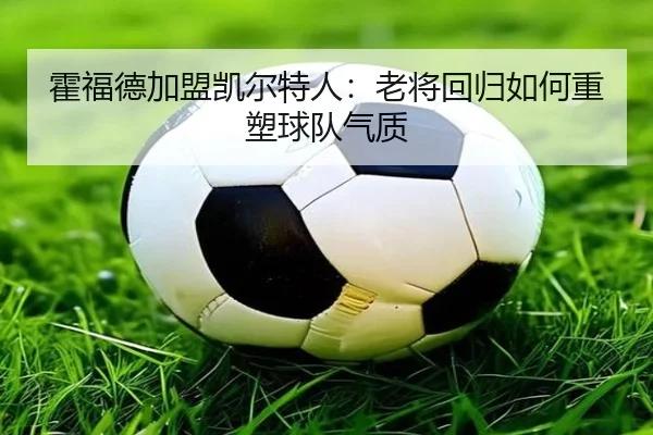 霍福德加盟凯尔特人：老将回归如何重塑球队气质